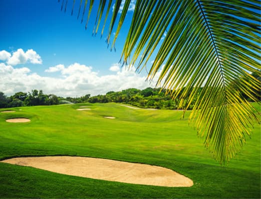 Tropical golf course
